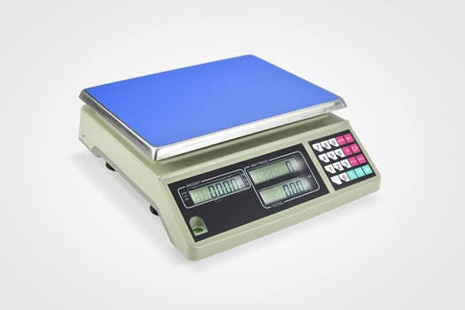 Price Computing Scale