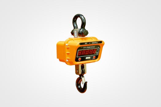 Crane Scales in Bhubaneswar